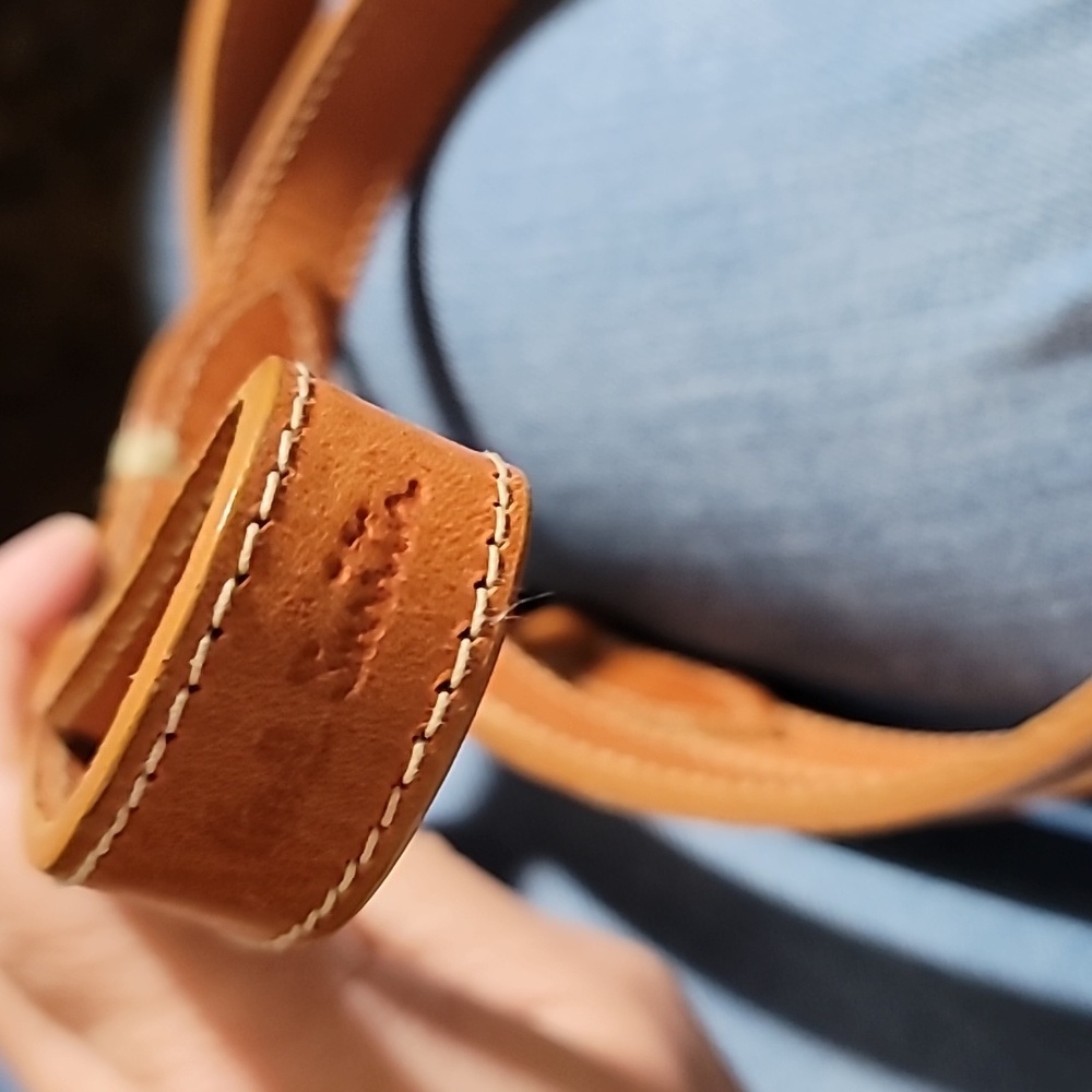 Paul Smith Multicolor Swirl Dog Leash